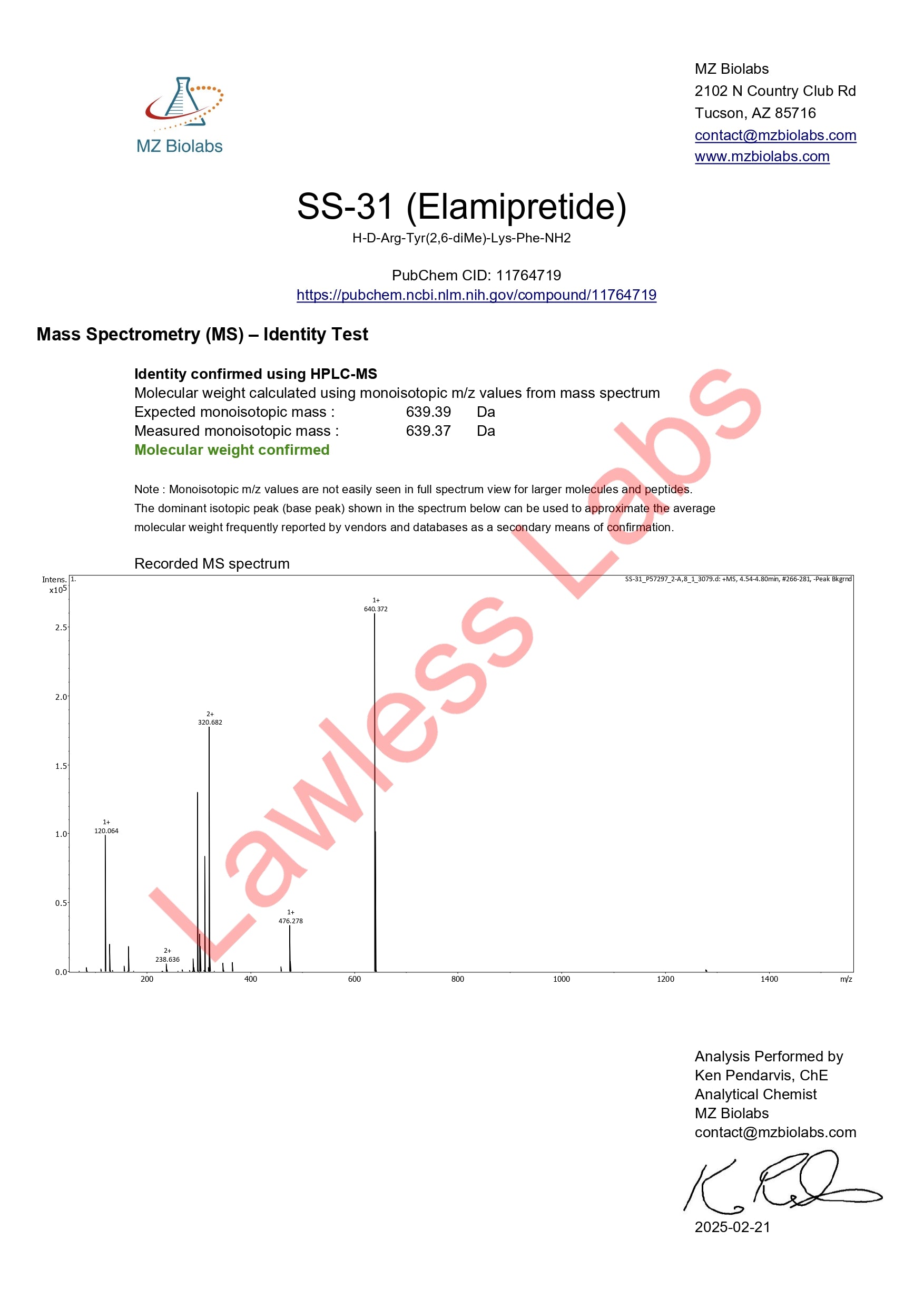 SS-31 Image 2